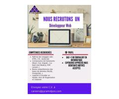 DEVELOPPEUR WEB